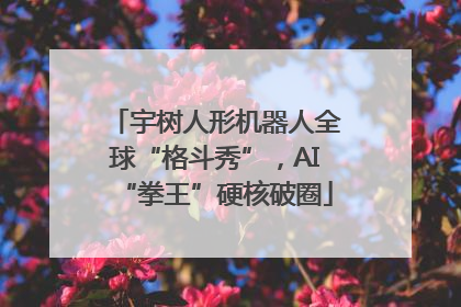 宇树人形机器人全球“格斗秀”，AI“拳王”硬核破圈