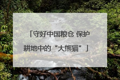 守好中国粮仓 保护耕地中的“大熊猫”