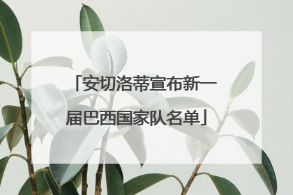 安切洛蒂宣布新一届巴西国家队名单