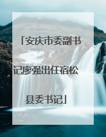 安庆市委副书记廖强出任宿松县委书记