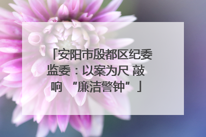 安阳市殷都区纪委监委：以案为尺 敲响 “廉洁警钟”
