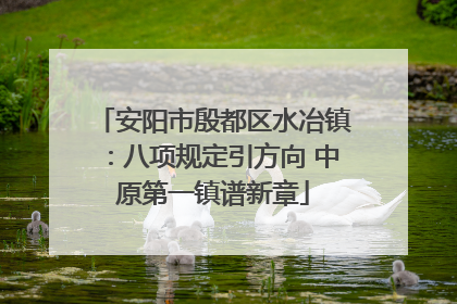 安阳市殷都区水冶镇：八项规定引方向 中原第一镇谱新章