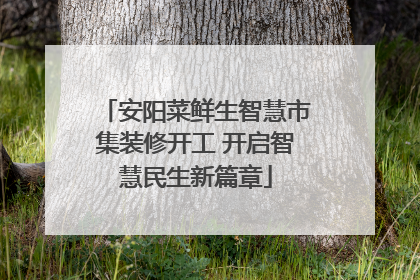 安阳菜鲜生智慧市集装修开工 开启智慧民生新篇章