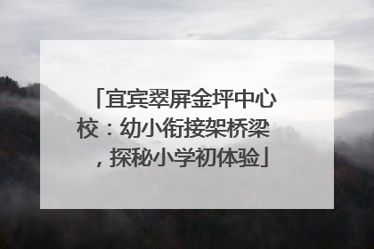 宜宾翠屏金坪中心校：幼小衔接架桥梁，探秘小学初体验