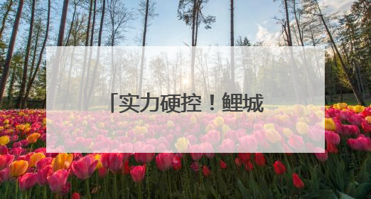 实力硬控！鲤城“圳”出圈！