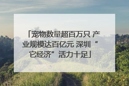 宠物数量超百万只 产业规模达百亿元 深圳“它经济”活力十足