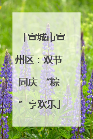 宣城市宣州区：双节同庆 “粽”享欢乐