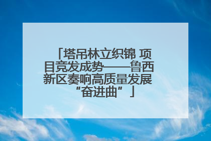 塔吊林立织锦 项目竞发成势——鲁西新区奏响高质量发展“奋进曲”