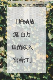 增殖放流 百万鱼苗跃入富春江