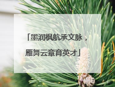 墨润枫航承文脉，雁舞云章育英才