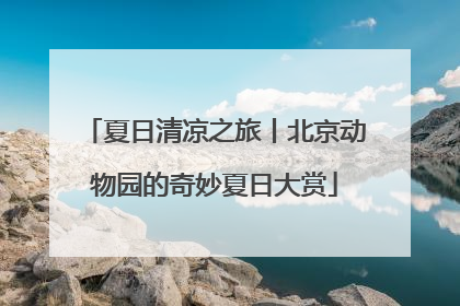 夏日清凉之旅丨北京动物园的奇妙夏日大赏