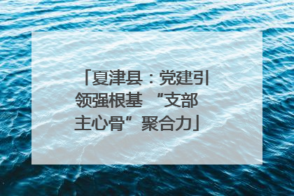 夏津县：党建引领强根基 “支部主心骨”聚合力