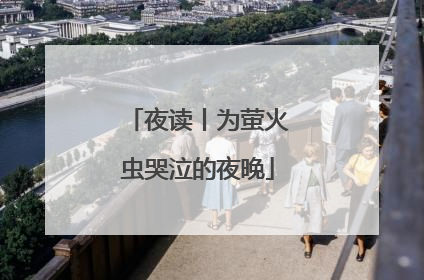 夜读丨为萤火虫哭泣的夜晚