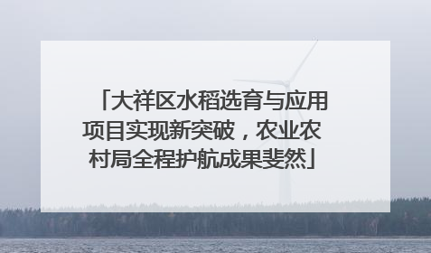 大祥区水稻选育与应用项目实现新突破，农业农村局全程护航成果斐然
