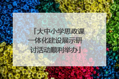 大中小学思政课一体化建设展示研讨活动顺利举办