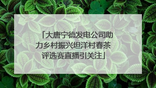 大唐宁德发电公司助力乡村振兴坦洋村春茶评选赛直播引关注