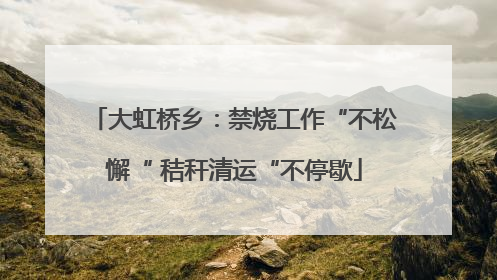 大虹桥乡：禁烧工作“不松懈“ 秸秆清运“不停歇