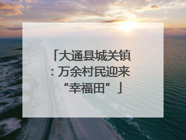 大通县城关镇：万余村民迎来“幸福田”