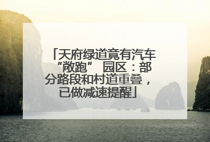 天府绿道竟有汽车“敞跑” 园区：部分路段和村道重叠，已做减速提醒