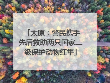 太原：警民携手 先后救助两只国家二级保护动物红隼