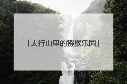 太行山里的猕猴乐园