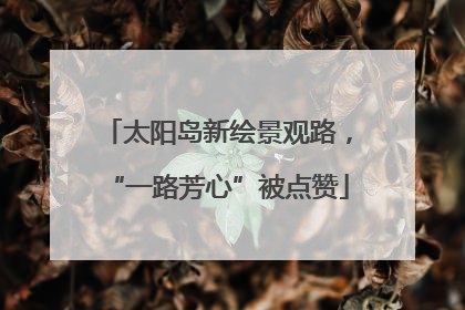 太阳岛新绘景观路，“一路芳心”被点赞