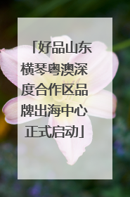 好品山东横琴粤澳深度合作区品牌出海中心正式启动