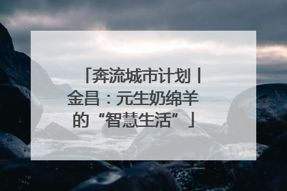 奔流城市计划丨金昌：元生奶绵羊的“智慧生活”