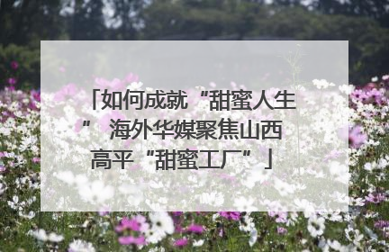 如何成就“甜蜜人生” 海外华媒聚焦山西高平“甜蜜工厂”