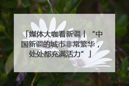 媒体大咖看新疆丨“中国新疆的城市非常繁华，处处都充满活力”