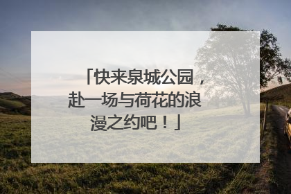 快来泉城公园，赴一场与荷花的浪漫之约吧！