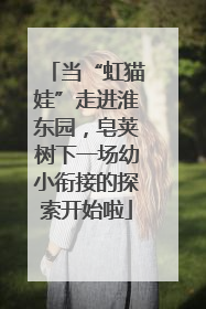 当“虹猫娃”走进淮东园，皂荚树下一场幼小衔接的探索开始啦