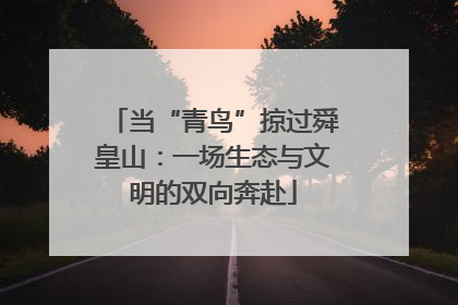 当“青鸟”掠过舜皇山：一场生态与文明的双向奔赴