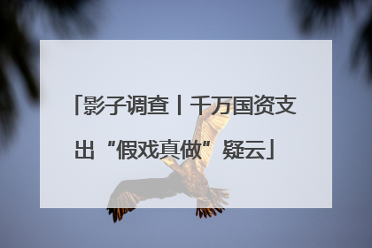 影子调查丨千万国资支出“假戏真做”疑云