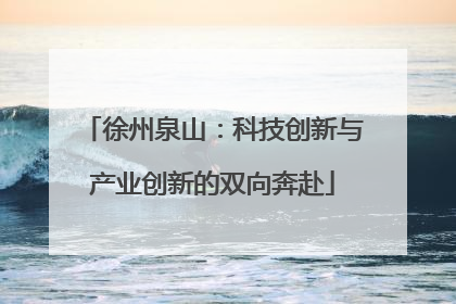 徐州泉山：科技创新与产业创新的双向奔赴
