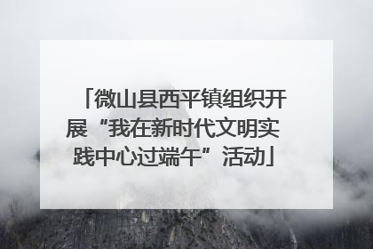 微山县西平镇组织开展“我在新时代文明实践中心过端午”活动