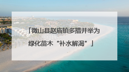 微山县赵庙镇多措并举为绿化苗木“补水解渴”