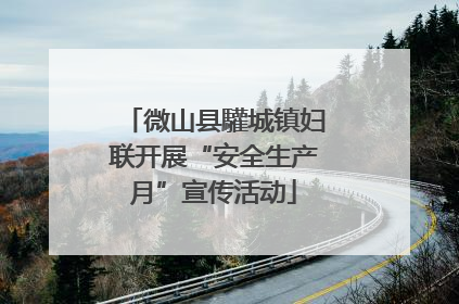 微山县驩城镇妇联开展“安全生产月”宣传活动
