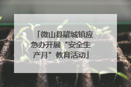 微山县驩城镇应急办开展“安全生产月”教育活动