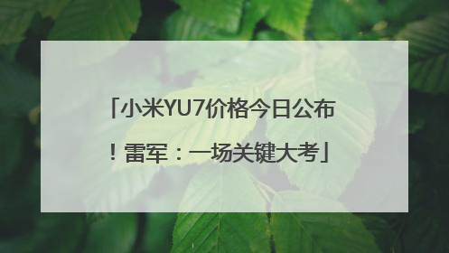 小米YU7价格今日公布！雷军：一场关键大考