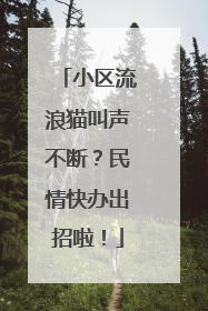 小区流浪猫叫声不断？民情快办出招啦！