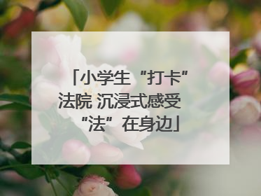 小学生“打卡”法院 沉浸式感受“法”在身边