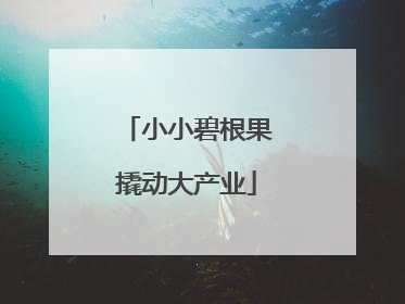 小小碧根果撬动大产业