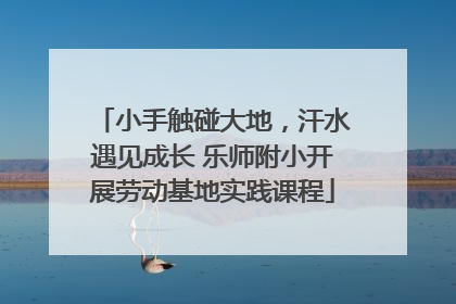 小手触碰大地，汗水遇见成长 乐师附小开展劳动基地实践课程