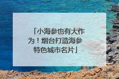 小海参也有大作为！烟台打造海参特色城市名片