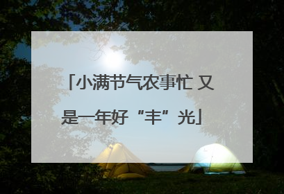 小满节气农事忙 又是一年好“丰”光