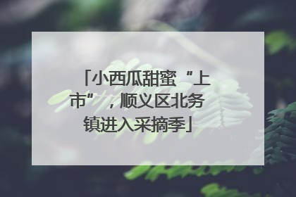 小西瓜甜蜜“上市”，顺义区北务镇进入采摘季