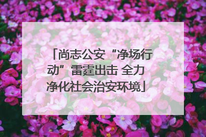 尚志公安“净场行动”雷霆出击 全力净化社会治安环境