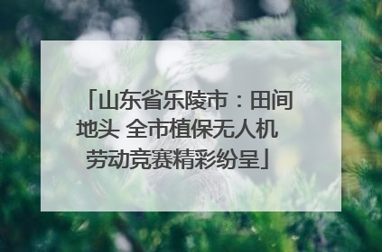 山东省乐陵市：田间地头 全市植保无人机劳动竞赛精彩纷呈