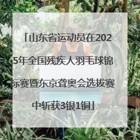 山东省运动员在2025年全国残疾人羽毛球锦标赛暨东京聋奥会选拔赛中斩获3银1铜